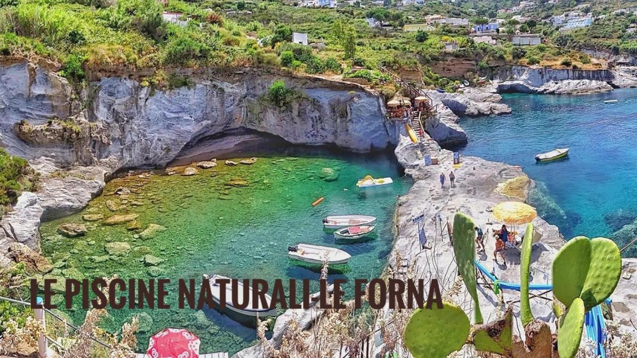 Ponzamania Appartamenti ,,Belvedere" Ponza Exterior foto